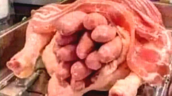 Do you like a good stuffing and in which hole?