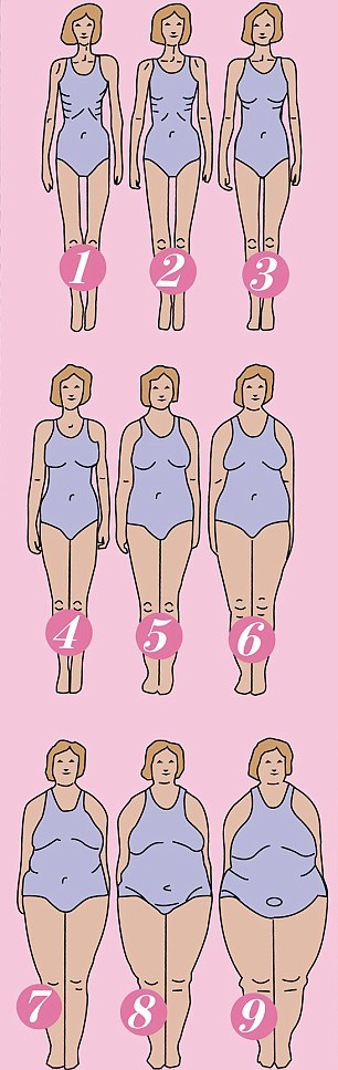 Womens bodies come in all different shapes and sizes what is your?