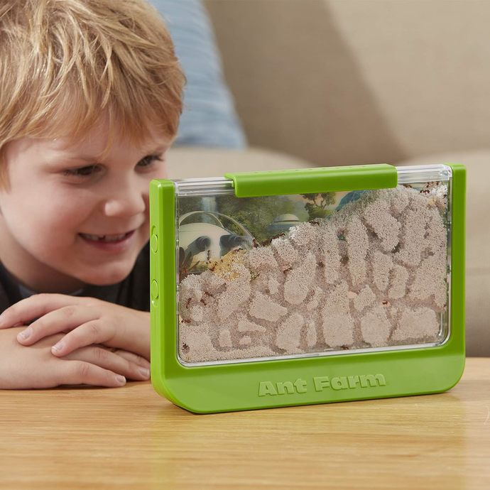 What was something that you thought was amazing as a kid but was actually a little/lot messed up?