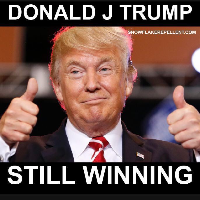 Do you think trump will run again for president?