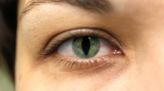 How would you react if you looked into your partners eyes and noticed their pupils turned into slivers... like a lizard?