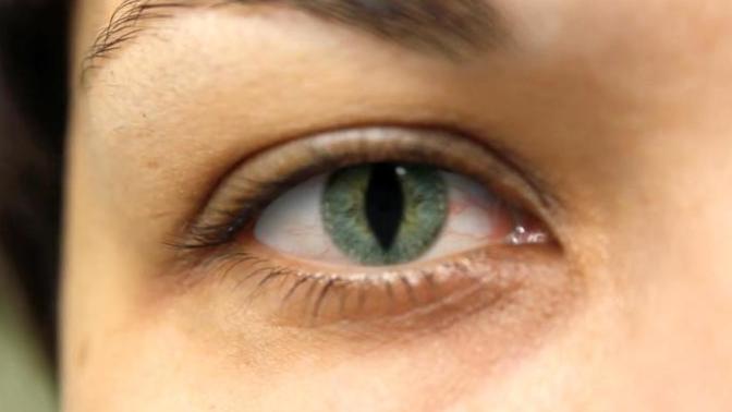 How would you react if you looked into your partners eyes and noticed their pupils turned into slivers... like a lizard?