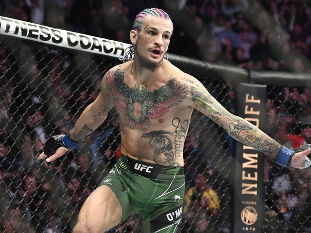 Sterling vs OMalley whos your pick?