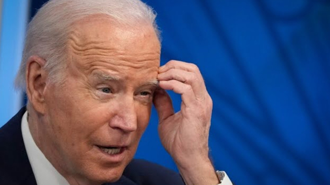 Guys, Will any American admit to voting for Biden in the primary election?