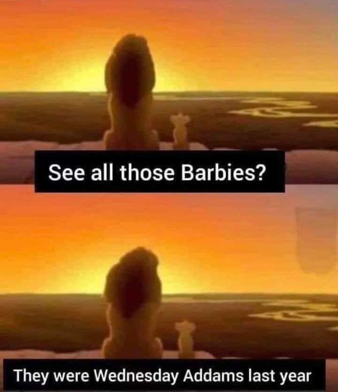 Are you the Barbie girl or Wednesday?