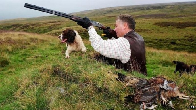 Have you tried grouse?