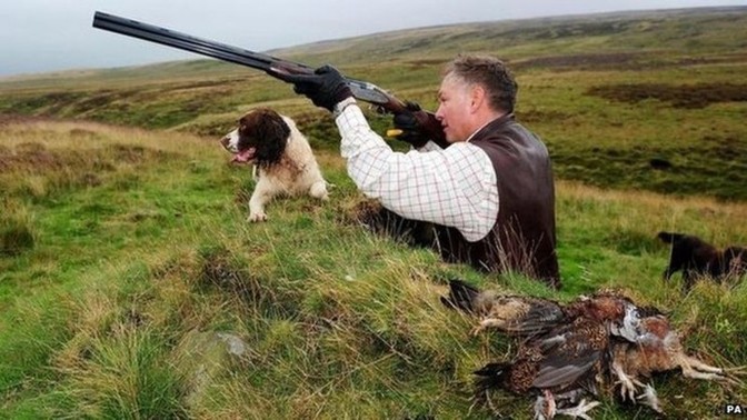 Have you tried grouse?