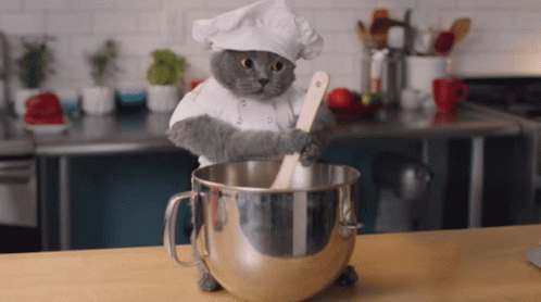 How often do you follow an actual recipe from a book?