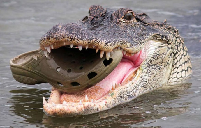 Who wears this kind of shoe?