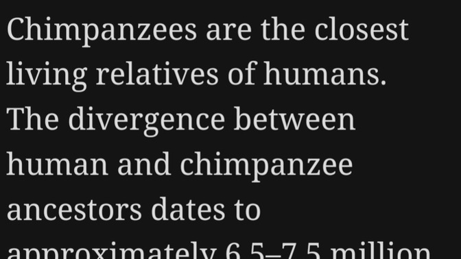 Does anyone know or can solve the chromosomes mystery?
