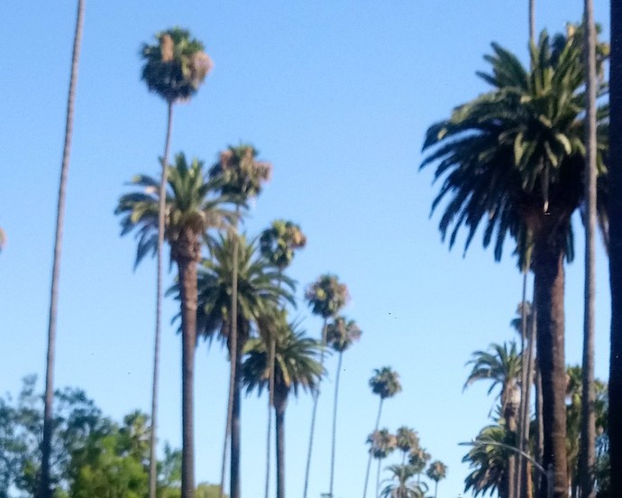 What’s the last photo you have saved on your device?