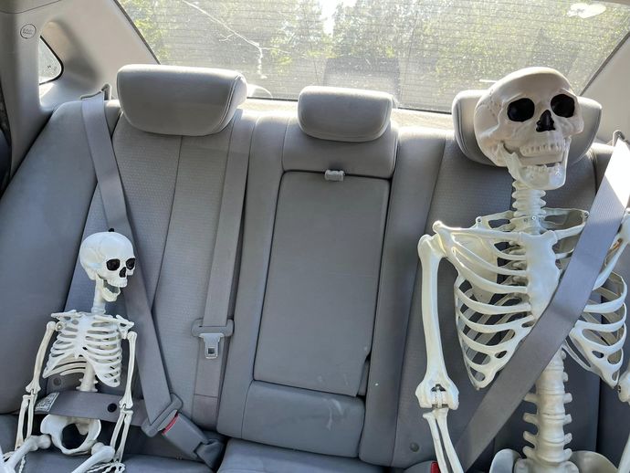 What’s the last photo you have saved on your device?