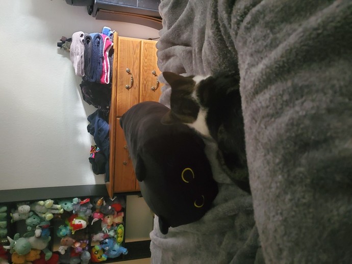 What’s the last photo you have saved on your device?