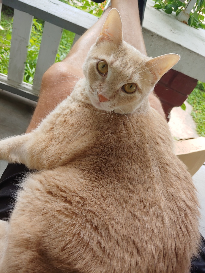 What’s the last photo you have saved on your device?