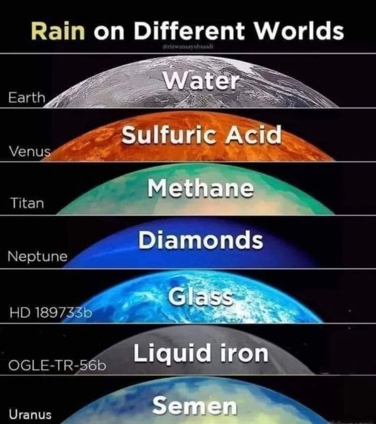 What’s the last photo you have saved on your device?