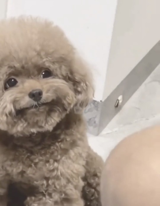 What’s the last photo you have saved on your device?