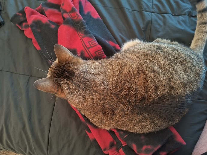 What’s the last photo you have saved on your device?