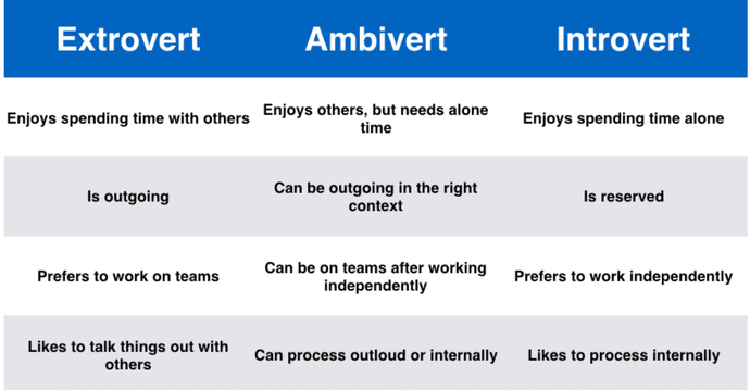 What About Ambivert?
