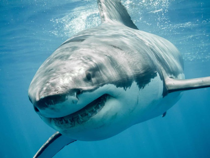 What is something really big (huge) that scares you?