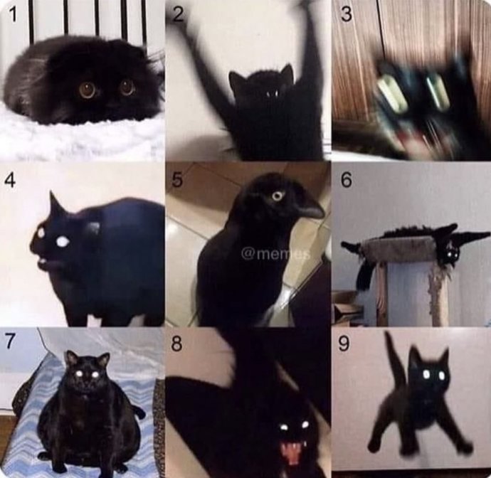 How are we feeling today?