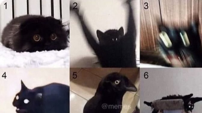 How are we feeling today?