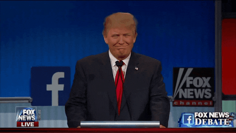 Why would a GOP candidate running against Trump offer to write Trump's amicus brief?