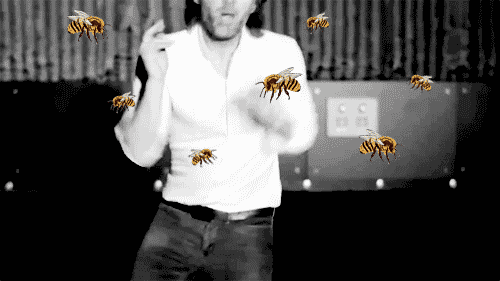 Have you ever been stung by bee or bees?