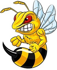 Have you ever been stung by bee or bees?