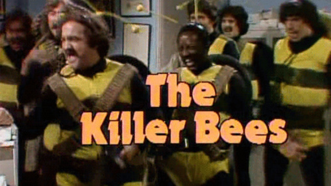 Have you ever been stung by bee or bees?