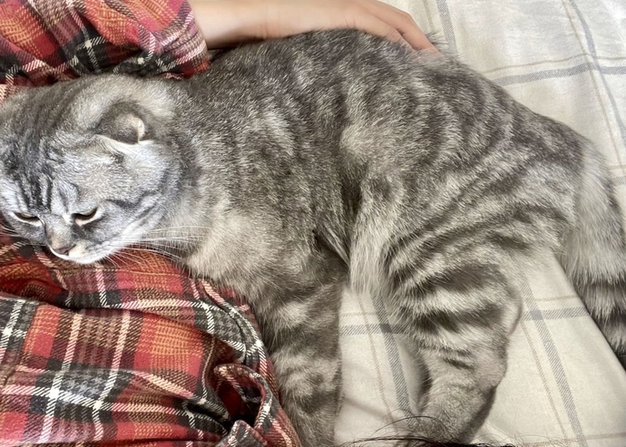 Purrโฆ