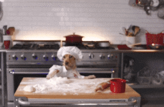 Is it bad to cook for your dog?