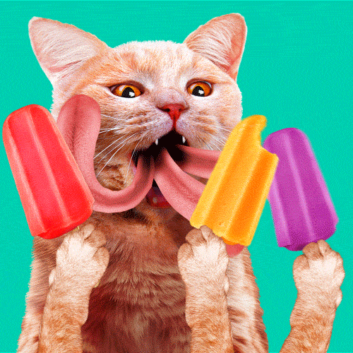 What is your favorite type of popsicle?