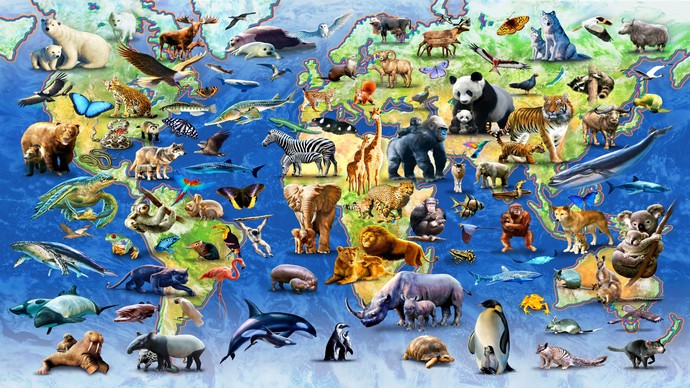 Do you ever wonder WHY there is such a DIVERSITY of ANIMALS?