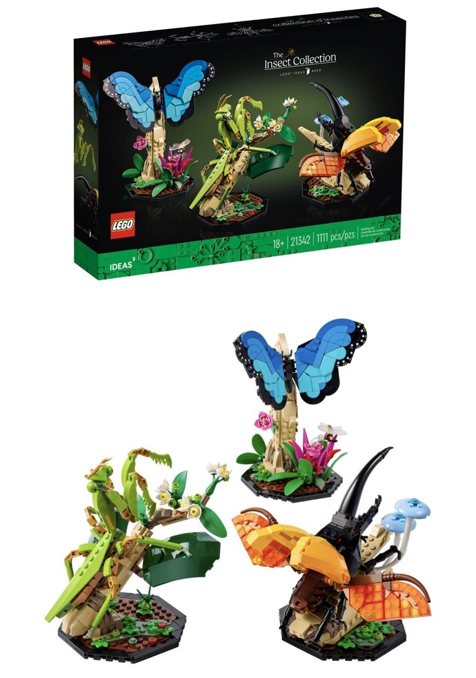 Grasshopper, butterfly, beetle