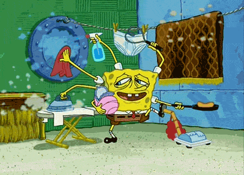 How often do you clean your room/apartment/house?