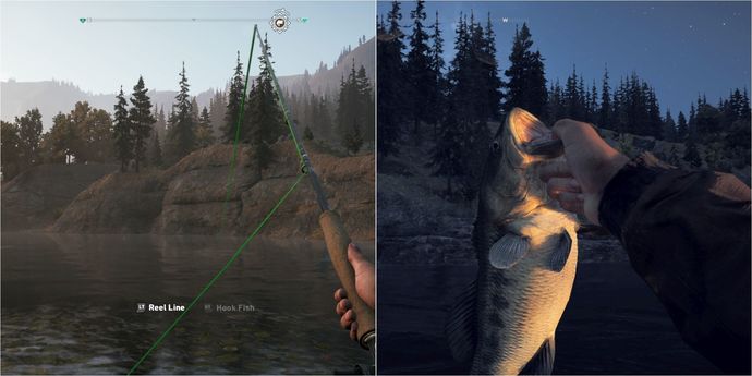 Do you like to go fishing?