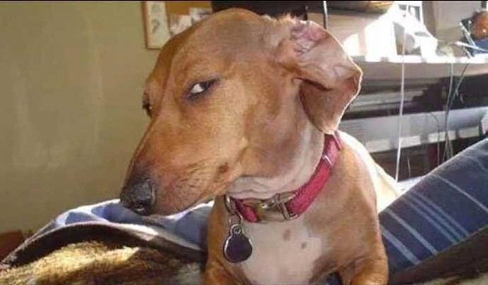 Guys, what do you like to post online? If you even post anything? If not, why not?