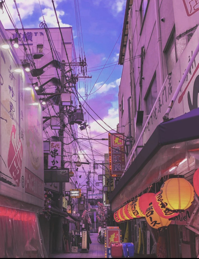 Would you ever travel to Japan?