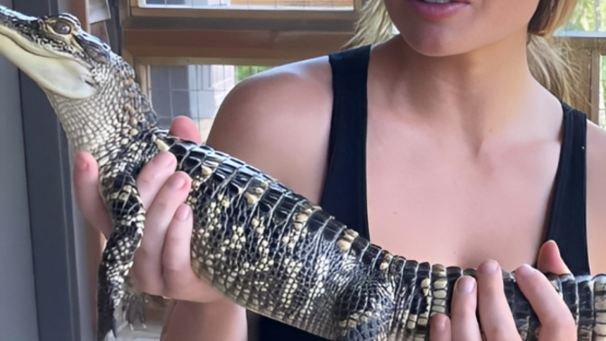 What creatures or critters are you afraid of?