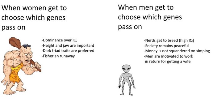 Do women in liberal societies literally just choose guys who are muscular violent jerks over skinny young looking nerds?