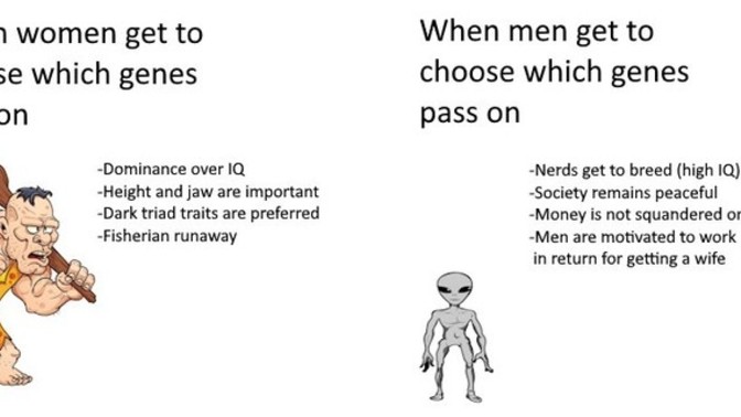 Do women in liberal societies literally just choose guys who are muscular violent jerks over skinny young looking nerds?