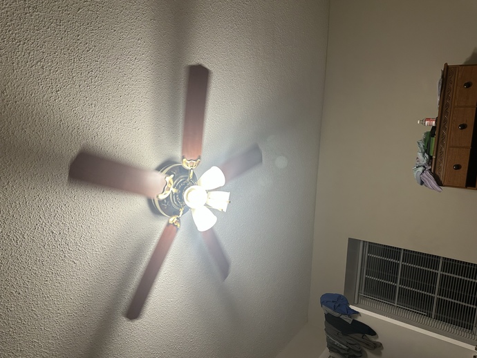 What are the chances a ceiling fan falls?