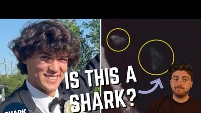 Was the Cameron Robbins case covered up or was there multiple sharks in the water? Here's the video and article. What caused his death?