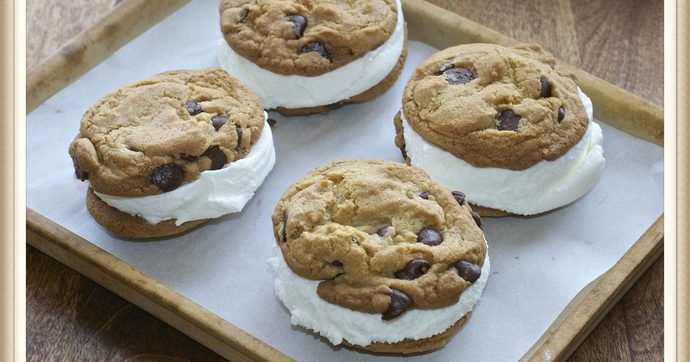 Which one is your favorite out of these types of ice-cream sandwiches ?