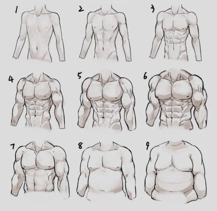 How big are his muscles?