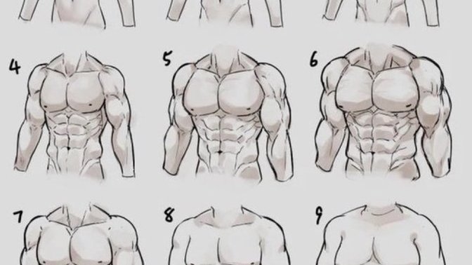 How big are his muscles?