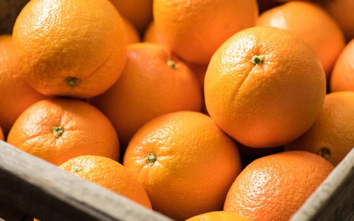 Which of these fruits would be your number one choice ?