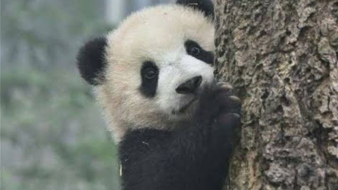 When I sleep a lot I get dark circles but when I don't sleep much I don't get them? Have you ever experienced that?