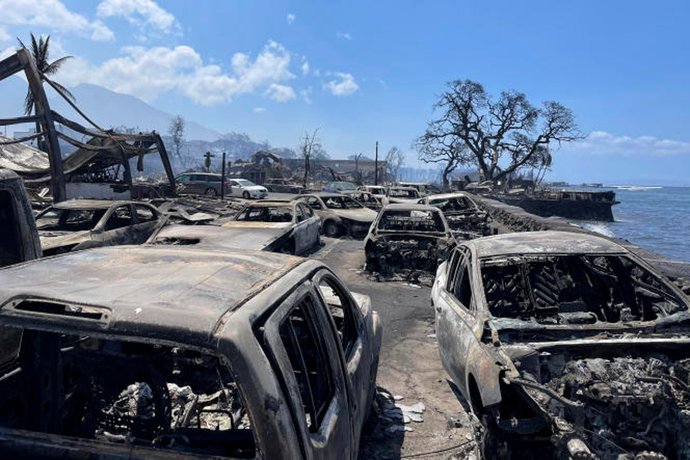Do you think Joes message resonated with Hawaiians, when he compared his 20 minute kitchen fire to the worst fire in the U. S. in a century?