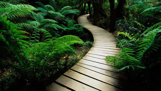 If you were only able to ask one question in life, what would it be?